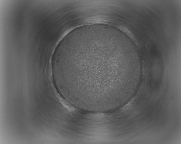 X0000068721031200605010928