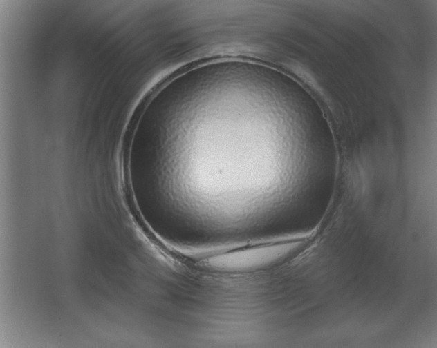 X0000068721032200605010928