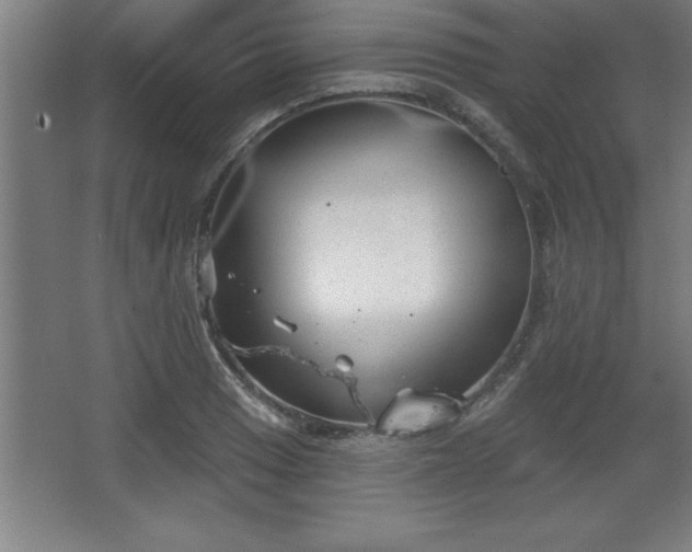 X0000068721033200605010928