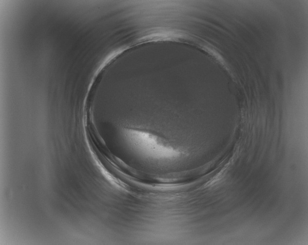 X0000068721034200605010928