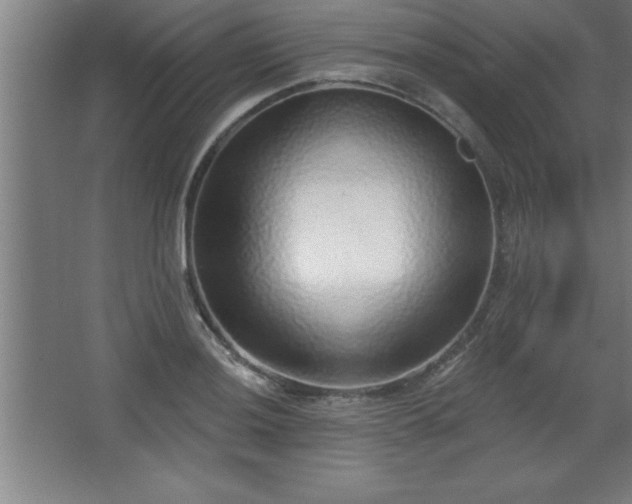 X0000068721036200605010928