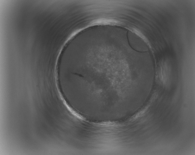 X0000068721037200605010928