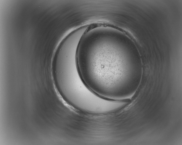 X0000068721038200605010928