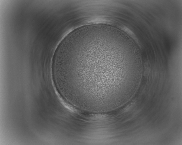 X0000068721039200605010928