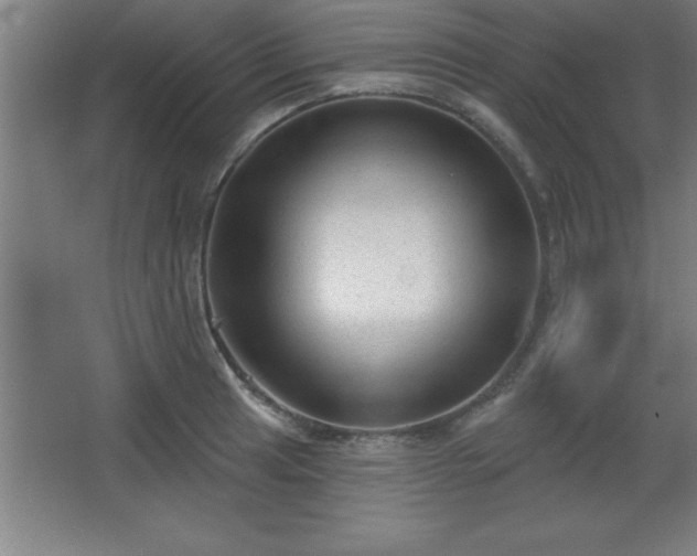 X0000068721041200605010928