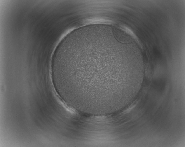 X0000068721043200605010928