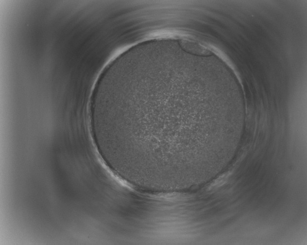 X0000068721045200605010928