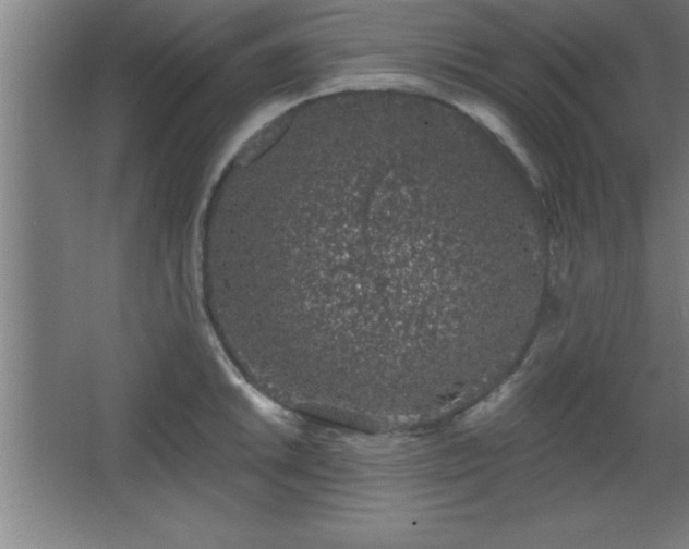 X0000068721046200605010928