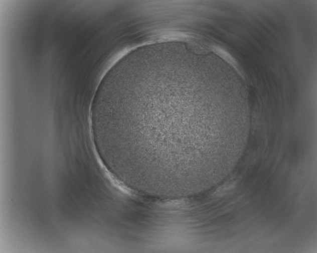 X0000068721047200605010928