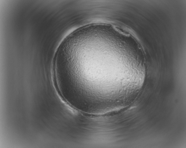 X0000068721048200605010928