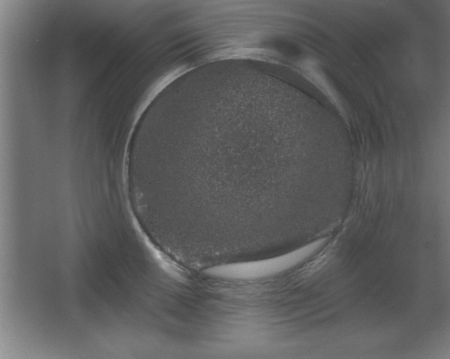 X0000068721050200605010928