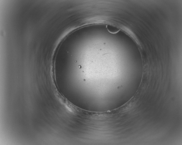 X0000068721051200605010928