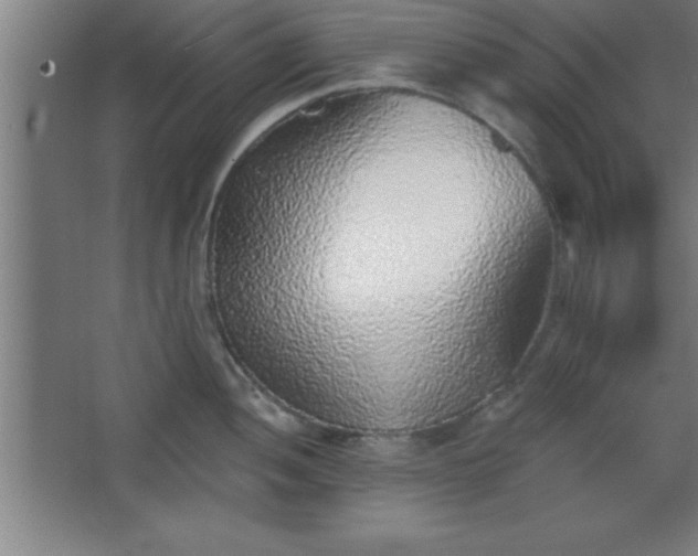 X0000068721052200605010928