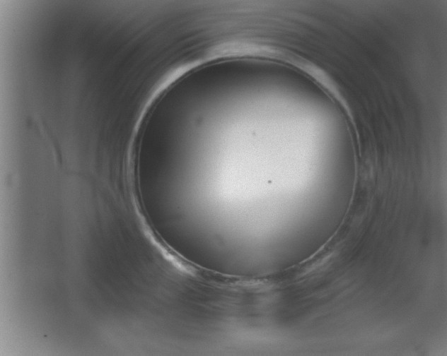 X0000068721053200605010928