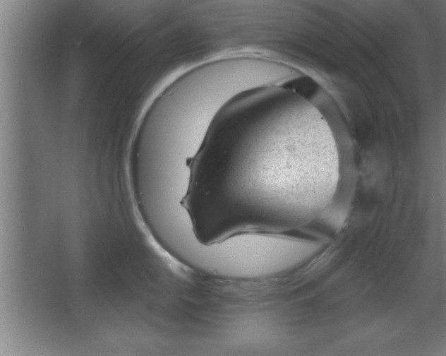 X0000068721054200605010928