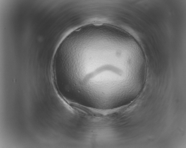 X0000068721056200605010928