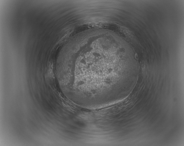 X0000068721060200605010928