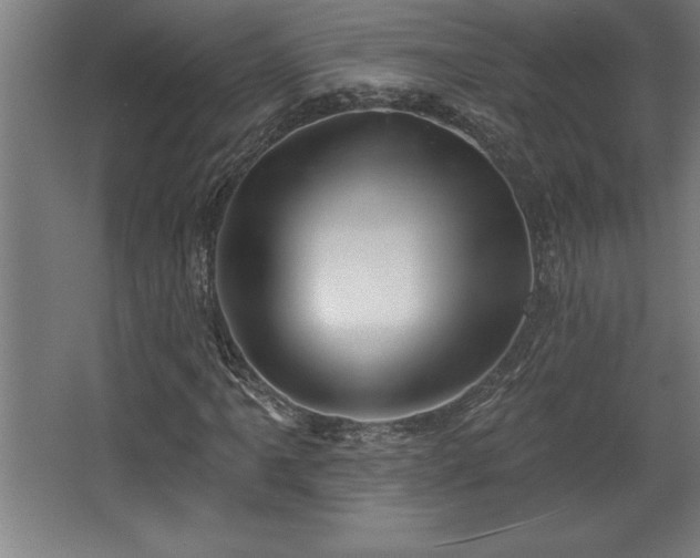 X0000068721061200605010927