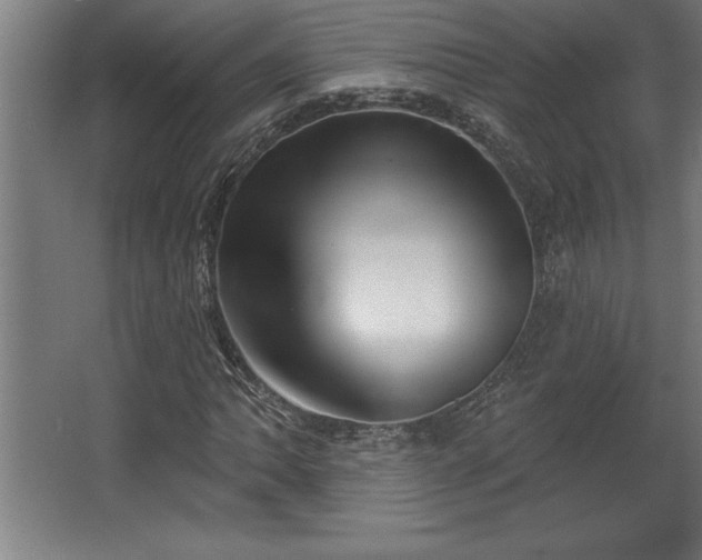 X0000068721062200605010927