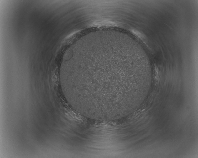 X0000068721063200605010927