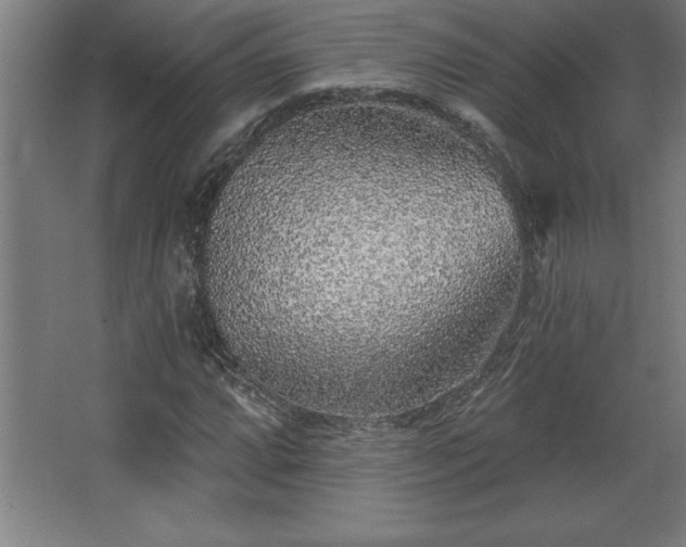 X0000068721064200605010927