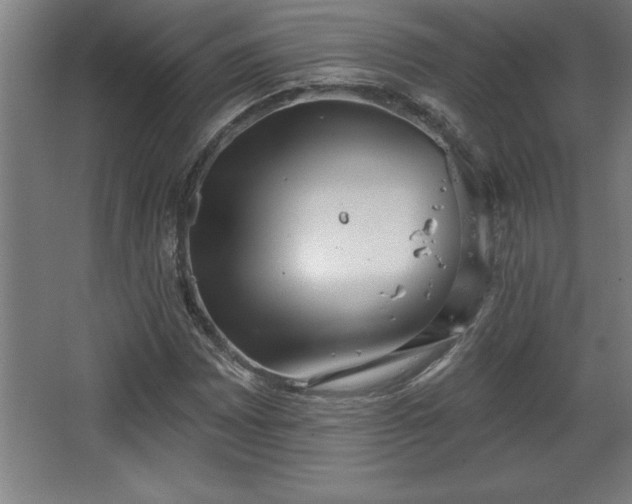 X0000068721065200605010927