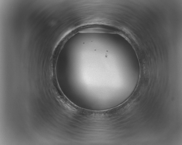 X0000068721069200605010927