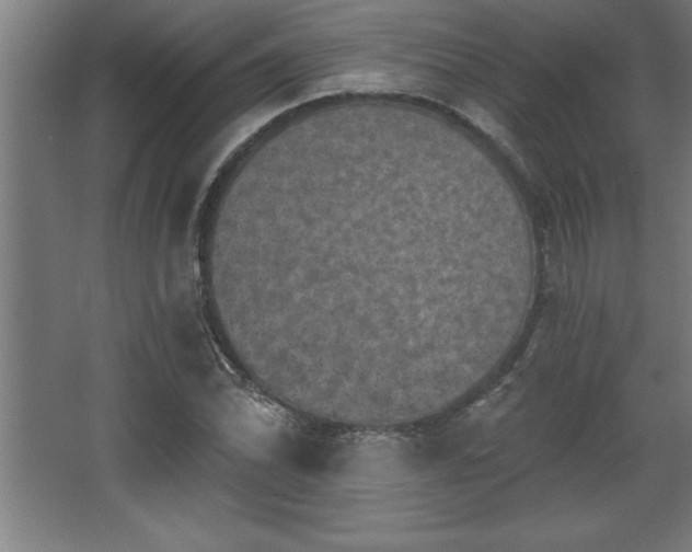 X0000068721070200605010927