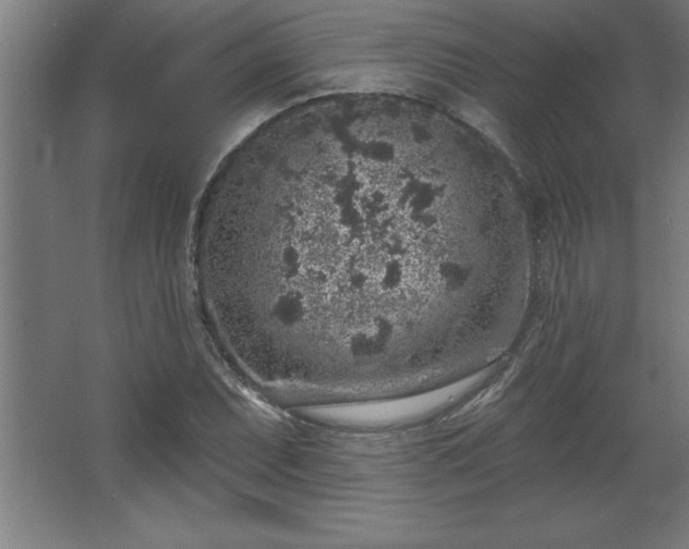 X0000068721071200605010927