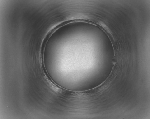 X0000068721072200605010927