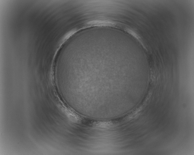 X0000068721074200605010927