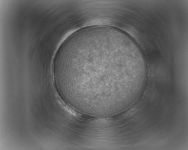 X0000068721078200605010927