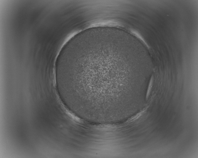 X0000068721079200605010927