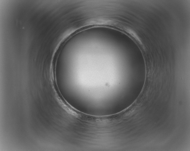 X0000068721080200605010927