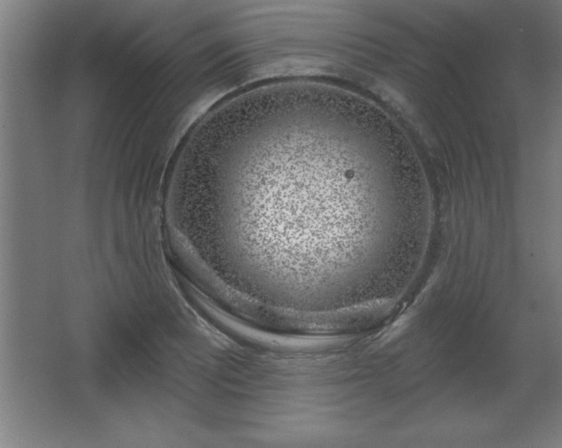 X0000068721081200605010927