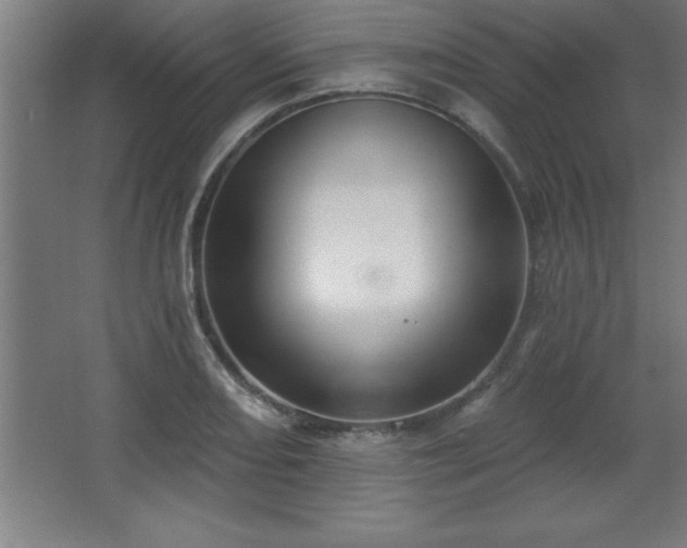 X0000068721082200605010927