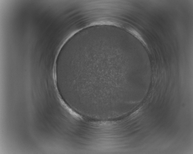 X0000068721084200605010927