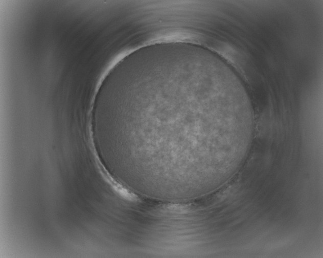 X0000068721086200605010927