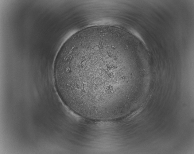 X0000068721087200605010927