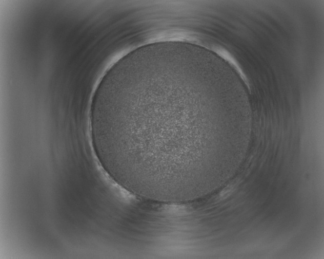 X0000068721088200605010927