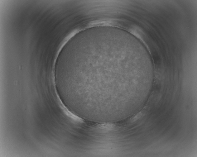 X0000068721090200605010927