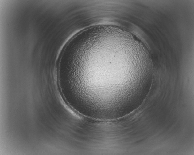 X0000068721092200605010927