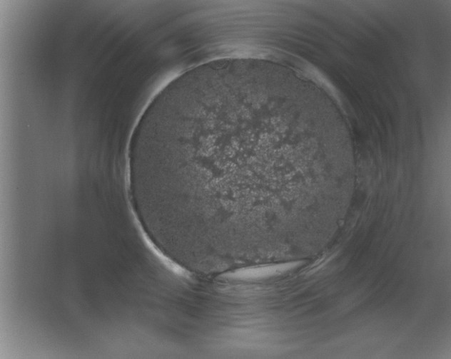 X0000068721095200605010927