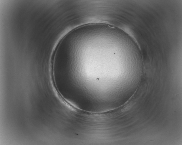 X0000068721096200605010927