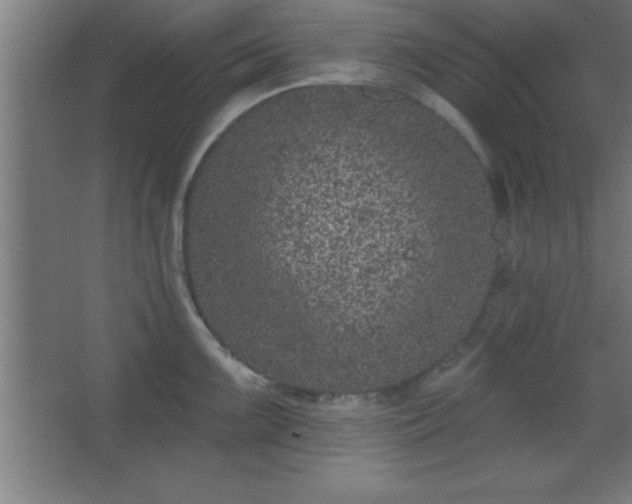 X0000068721099200605010927