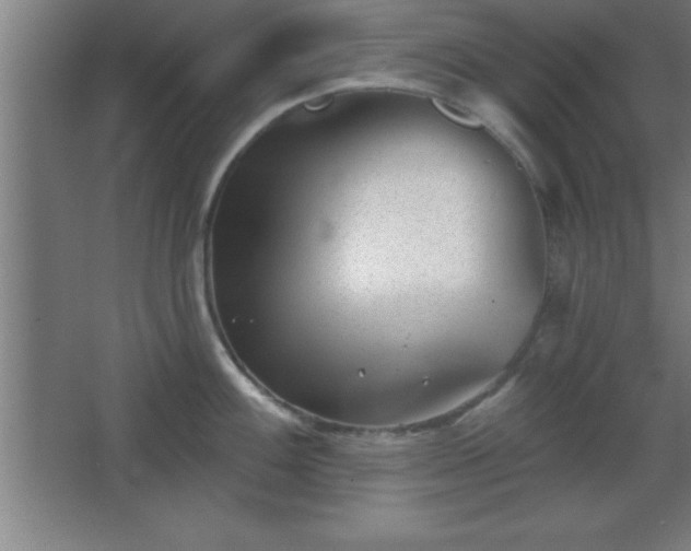 X0000068721100200605010927