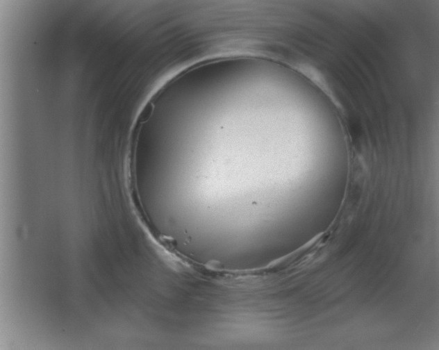 X0000068721101200605010927