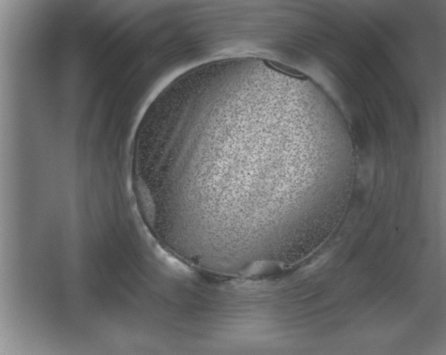 X0000068721102200605010927