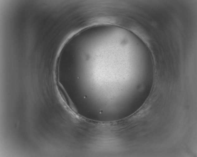 X0000068721104200605010927