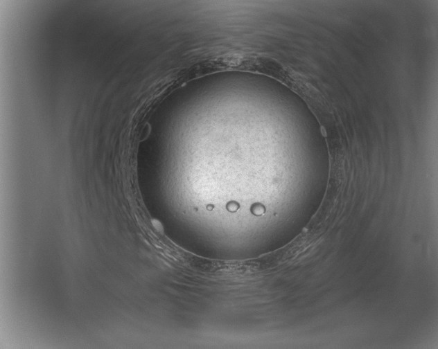 X0000068721105200605010926